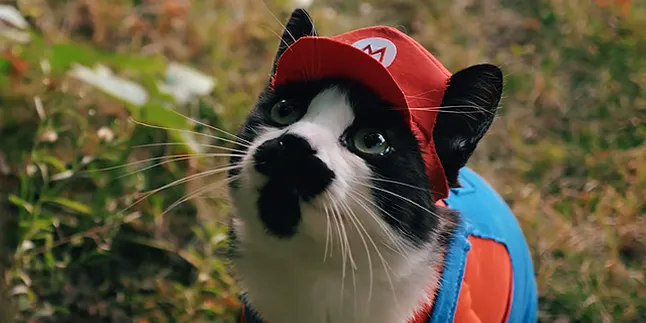 Begini Jadinya Kalau Super Mario Bros Jadi Film Pendek dan Diperankan Kucing