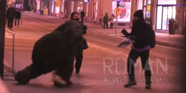 Beruang Besar Masuk Kota, Manusia Panik!