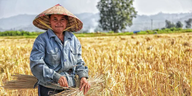 Bikin Petani Semringah, Agrito Buat Pertanian Indonesia Selangkah Lebih Maju