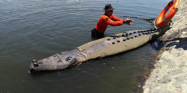 Ada 'Buaya' Mengambang di Sungai Porong, Bikin Gempar