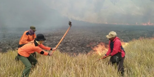 Bukit Teletubbies Gunung Bromo Terbakar, Ulah Tangan-Tangan Jahil?