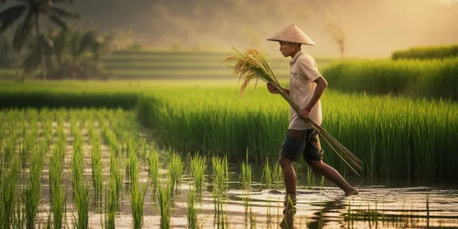 Caption IG Tentang Sawah: Inspirasi Kata-kata Indah untuk Postingan Media Sosial