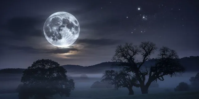 Caption Tentang Bulan: Kumpulan Kata-Kata Indah untuk Malam yang Menenangkan Caption Tentang Bulan: Kumpulan Kata-Kata Indah untuk Malam yang Menenangkan