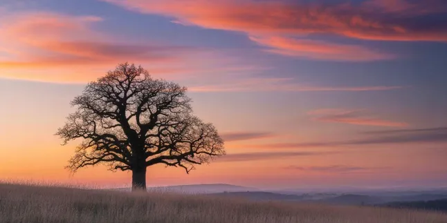 Caption Tentang Langit Bahasa Inggris: Inspirasi Kata-kata Indah untuk Media Sosial