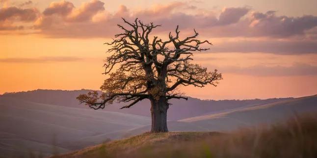 Caption Tentang Sunset: Panduan Lengkap untuk Foto Senja yang Memukau Caption Tentang Sunset: Panduan Lengkap untuk Foto Senja yang Memukau