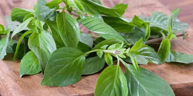 Cara Alami untuk Melawan Kanker dan Menjaga Kesehatan Jantung