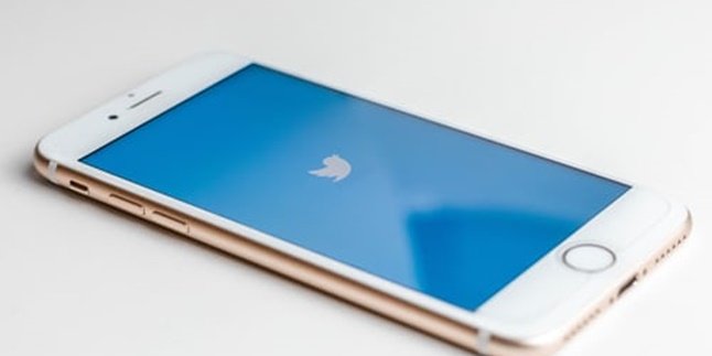 Cara Hapus Akun Twitter Permanen lewat HP dan PC, Bisa Dilakukan Tanpa Harus Login
