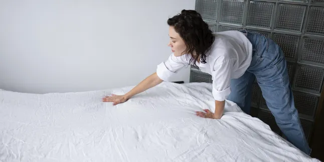 How to Get Rid of Bed Bugs, Recognize the Causes, How to Handle and Prevent Them from Coming Back