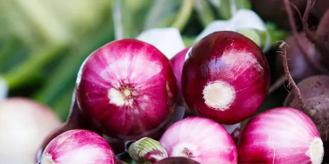 How to Plant Red Onions Without Extensive Land, A Smart Solution for Quality Harvests