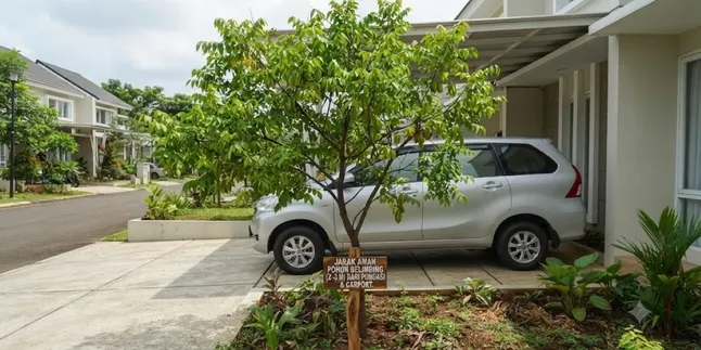 How to Plant Fruit Trees Safely Near the Carport so as Not to Damage the Foundation and Floor