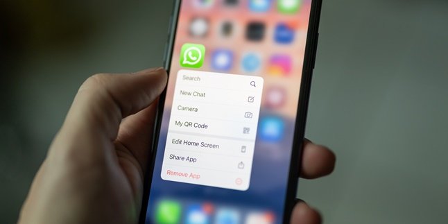 Cara Mengganti No Whatsapp yang Sudah Tidak Aktif dan Cara Backup Data Agar Tidak Hilang