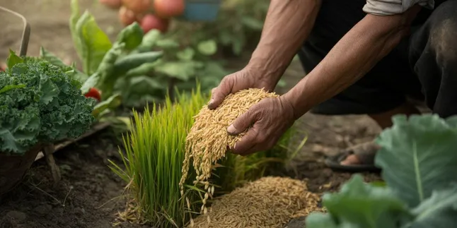 Cara Menggunakan Sekam Padi untuk Tanaman