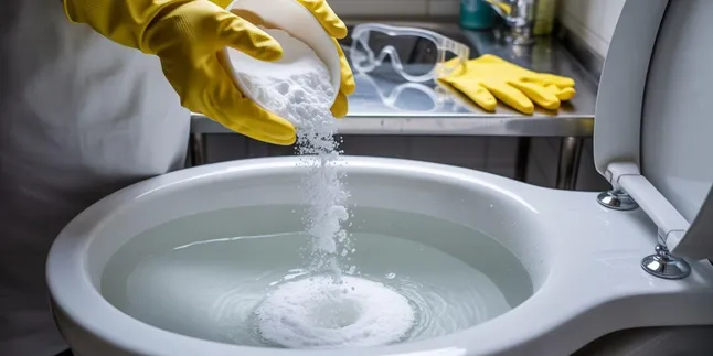 Cara Menggunakan Soda Api untuk WC Mampet dengan Aman dan Efektif