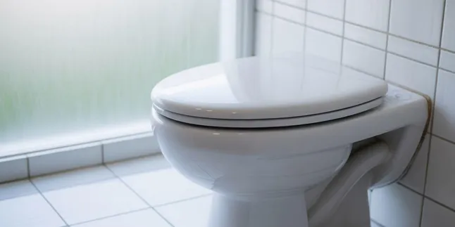 Cara Menggunakan Toilet Duduk dengan Benar dan Higienis