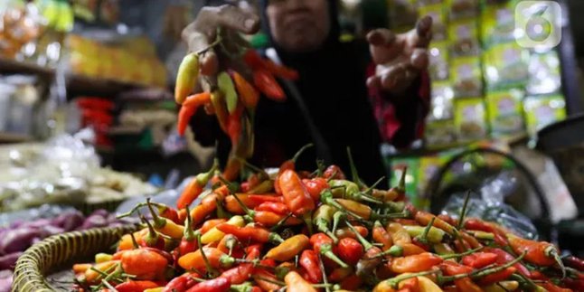 Cara Menyimpan Cabai Agar Tetap Segar Hingga 2 Bulan Tanpa Freezer, Cukup Pakai Bahan Ini Cara Menyimpan Cabai Agar Tetap Segar Hingga 2 Bulan Tanpa Freezer, Cukup Pakai Bahan Ini