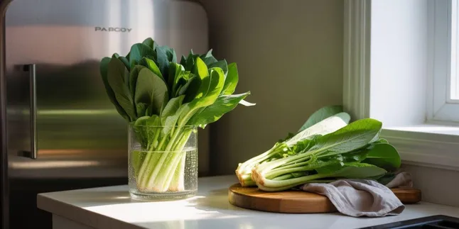 Cara Menyimpan Pakcoy di Kulkas dan Tanpa Kulkas