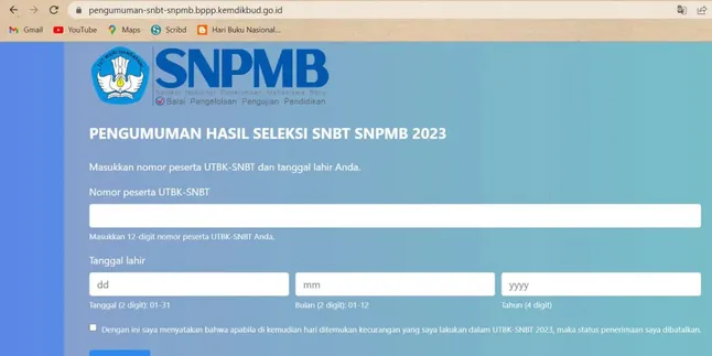 Cara Mudah Pendaftaran dan Pengisian PDSS untuk SNPMB 2025, Pastikan Tak Salah Langkah