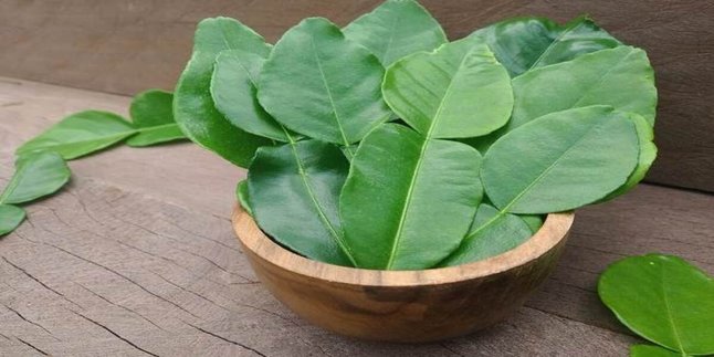 Cara Terbaik Mengolah Daun Jeruk agar Lebih Wangi dan Meningkatkan Rasa Masakan