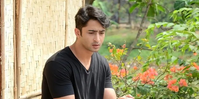 'CDLTM 2' Tamat, Shaheer Sheikh Siap Garap Proyek Baru di India? 'CDLTM 2' Tamat, Shaheer Sheikh Siap Garap Proyek Baru di India?