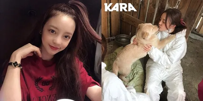 Cerita Soal Sosok Hangat Goo Hara yang Selalu Sayang Binatang dan Jadi Sukarelawan