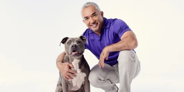 Cesar Milan 'Dog Whisperer' Hadiri Event Pecinta Hewan di Tangerang Selatan Juni Mendatang