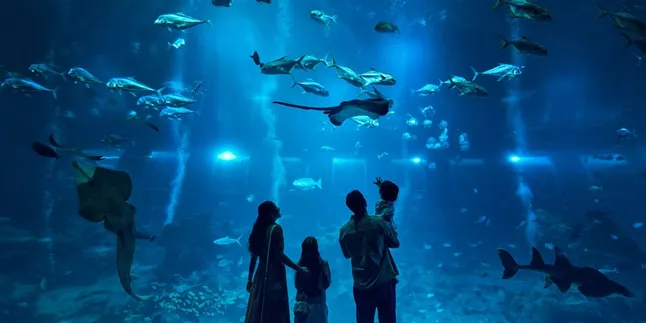 Dari Kedalaman Laut hingga Kemewahan Pulau Tropis, Ini Dua Spot Familyable di Resorts World Sentosa yang Wajib Kamu Jelajahi!