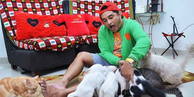 Demi Kucing, Jeremy Teti Rela Habiskan Jutaan Rupiah Demi Kucing, Jeremy Teti Rela Habiskan Jutaan Rupiah