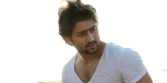 Demi Shaheer Sheikh, Perempuan Ini Rela Bolos Kerja Demi Shaheer Sheikh, Perempuan Ini Rela Bolos Kerja