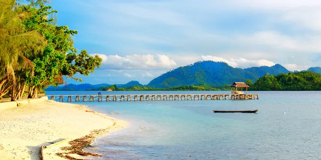 Deretan Keseruan yang Bakal Kamu Temukan di Festival Teluk Tomini 2019 Deretan Keseruan yang Bakal Kamu Temukan di Festival Teluk Tomini 2019