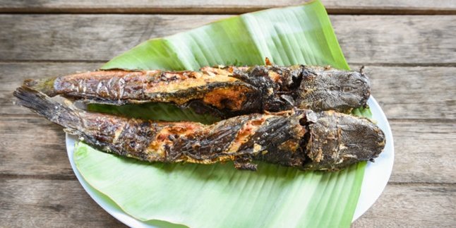 Not only delicious, here are 8 benefits of catfish for body health