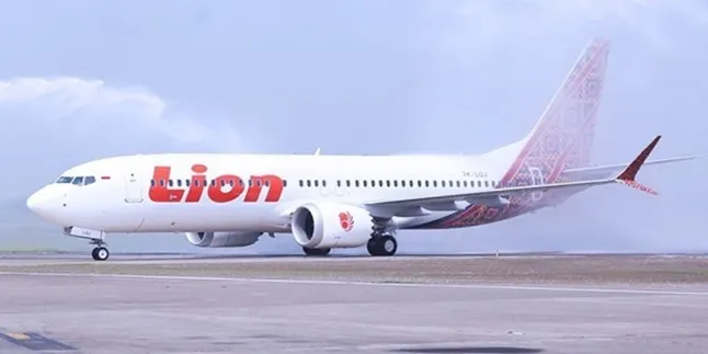 Diduga Jatuh, Ini Dia Daftar Penumpang Lion Air JT610 Jakarta-Pangkalpinang