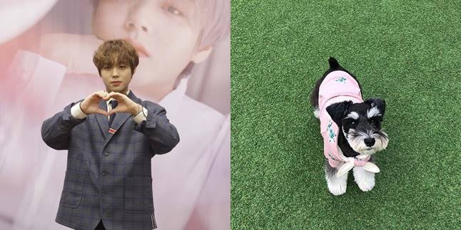 Asked about the Meaning of May, Family, or Max, Park Jihoon Gives Touching Answer