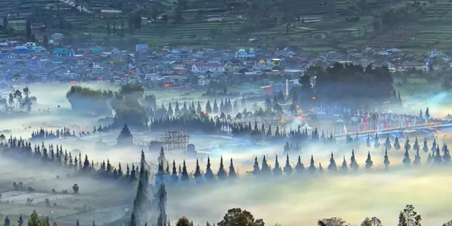 Domba Khas Banjarnegara Bikin Keseruan di Dieng Culture Festival 2019 Makin Pecah