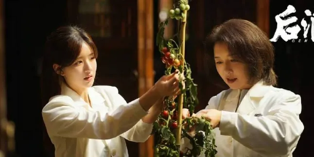 Chinese Drama About Traditional Medicine and Its Beliefs, Unveiling the Secrets of Healers