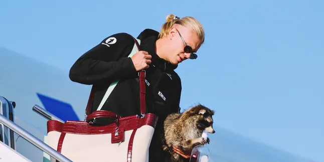 Erling Haaland Returns from the 2026 World Cup with a Stuffed Raccoon, Priced at Around Rp12 Million!