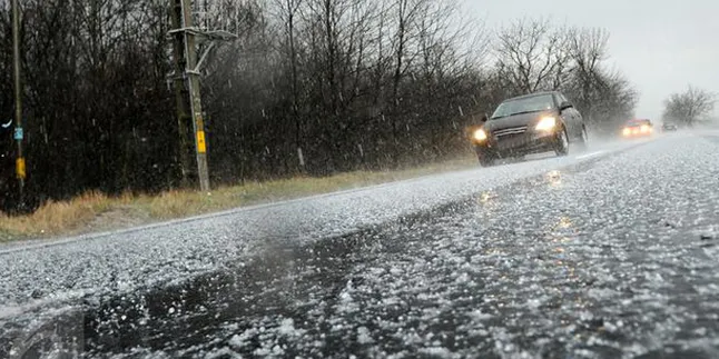 Fenomena Hujan Es Terjadi di Magelang, Beberapa Pohon Tumbang