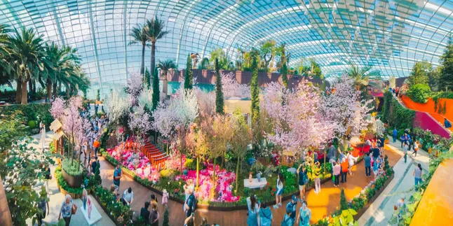 Festival Sakura Matsuri Hadir di Singapura, Bersiap Jadi Saksi Keindahannya