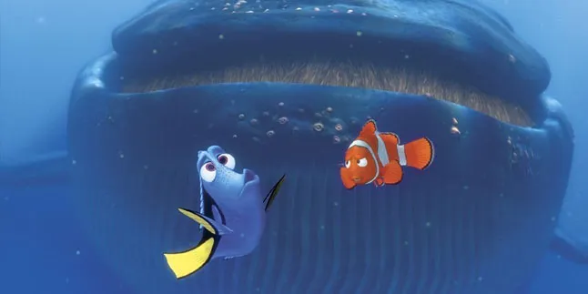 'FINDING NEMO' Versi Kucing Ini Nggemesin Banget!
