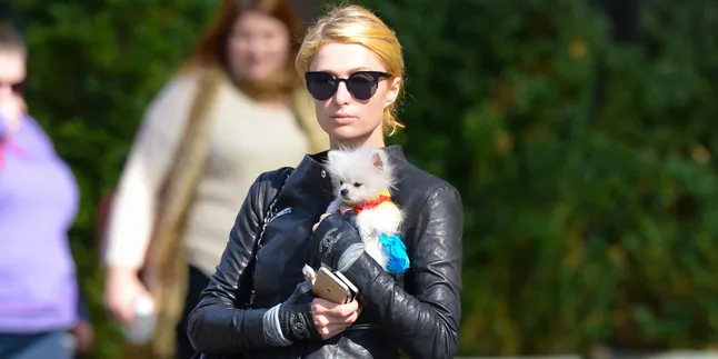 [FOTO] Inilah Bukti Jika Paris Hilton Layak Jadi Barbie Hidup