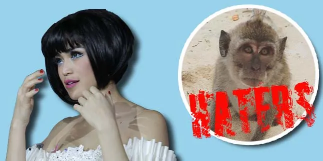 [Foto] Jessica Iskandar Samakan Haters Dengan Monyet