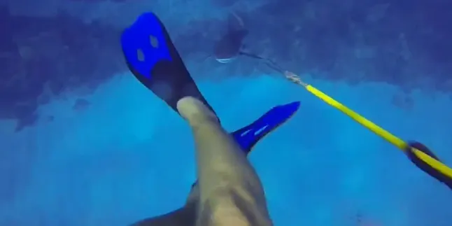 Gila, Pria Ini Selamat Dari Serangan Hiu di Laut!