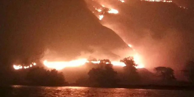Gili Lawa Terbakar, Pihak Tour Agent Siap Tanggung Jawab Jika Terbukti Bersalah