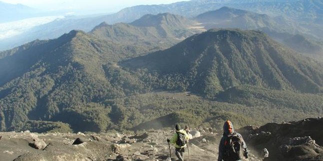 Gunung Semeru Meletus, 550 Warga Ramai-ramai Mengungsi