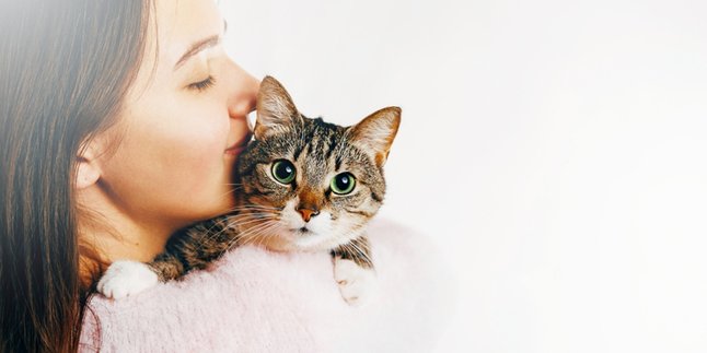 Happy and Healthy, Ini 10 Hal yang Bisa Dicontek dari Kucing Kesayangan