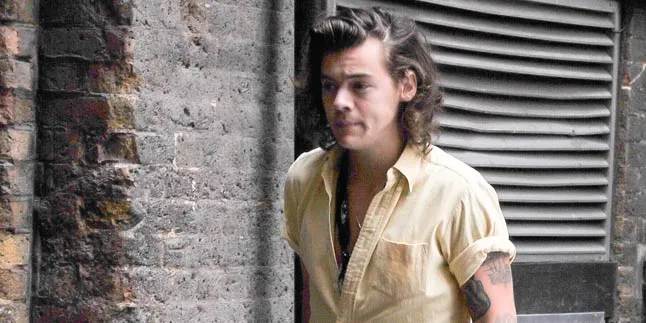 Harry Styles Siap Bantu Pemilik Kedai Kari Favoritnya Buka Cabang