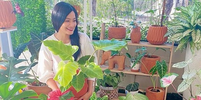 Very Trendy Hobby, Titi Kamal Takes Photos with Dozens of Her Various Ornamental Plants!