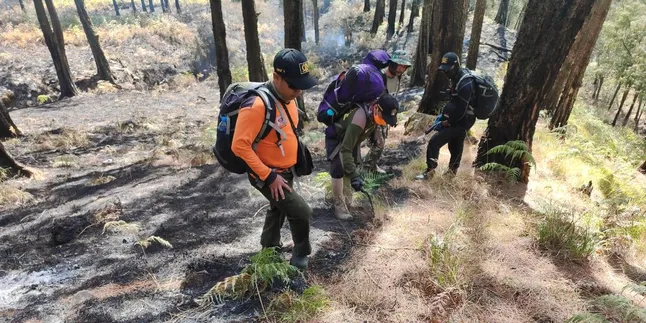 Hutan Gunung Arjuno Kembali Terbakar, Titik Api Baru Muncul di Tempat Ini
