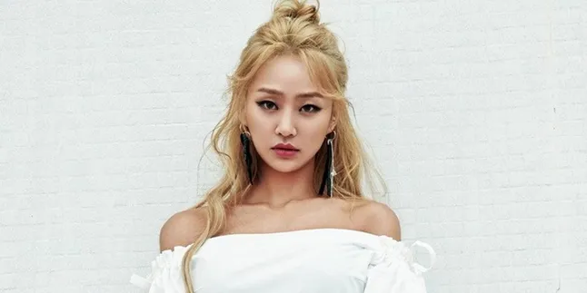 Hyolyn Eks Sistar Dibilang Tukang Bully Saat SMP, Agensi Turun Tangan