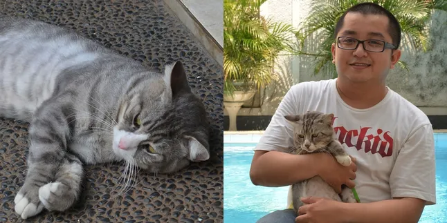 Imut! Begini Jadinya Jika Herichan Jatuh Cinta Sama Kucing Imut! Begini Jadinya Jika Herichan Jatuh Cinta Sama Kucing