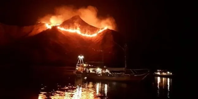 Inilah Kronologi Sampai Perkembangan Kasus Terbakarnya Gili Lawa